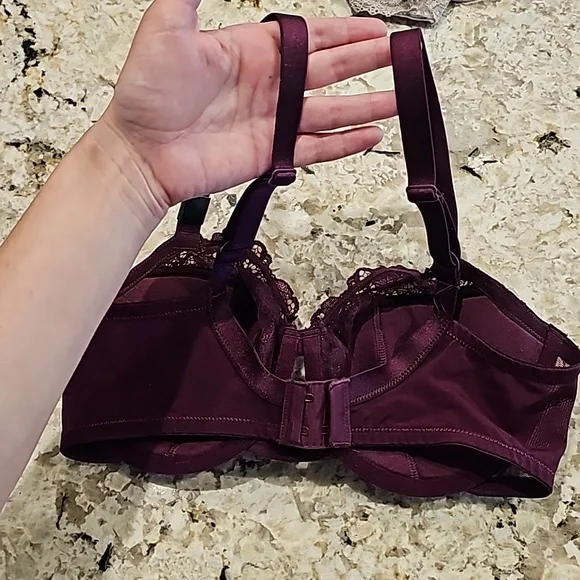 Venus 34D Bra! New with Tags - Picture 4 of 5